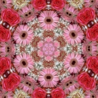 Kaleidos of flowers #3