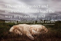 3 ~ "Those who protect and save other animals lead the way in..."