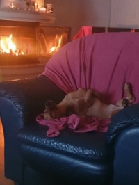 Sweet dreams.