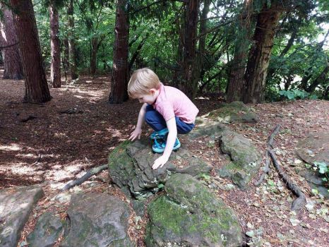 Piggly exploring Jarn Mound