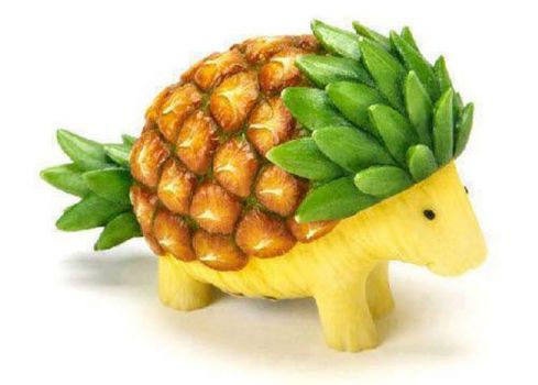 Playing With Your Food~Armadillo Pineapple