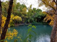 Verde River, Arizona
