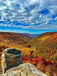 Great View