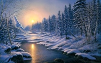 Winter