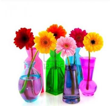 Coloured vases 7!!!