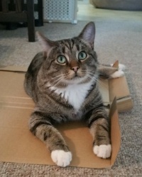 Thanks for the box, Mom!