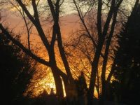 EVENING SKY