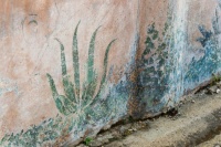 2560px-Painted_plants_fresco_Pompeii_Italy