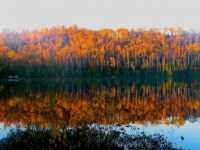 Mink Lake