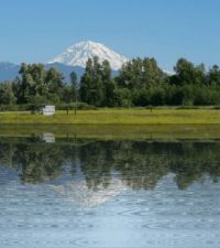 Mt Rainier with reflection app