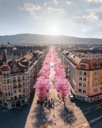 Zürich, Switzerland (photo by Cemil Erkoc).jpg