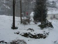 New snow :-)