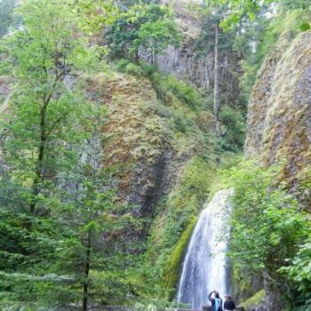 A waterfall in Oregon State, USA