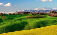 Italy-nature-scenery-fields-spring-rapeseed-sky