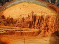 Timber City Landscape