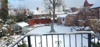 Garden Jan 2024...snow!!