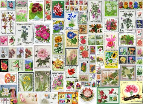 Solve Beautiful flower stamps around the world jigsaw puzzle