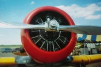 Business End of an AT-6 Texan Trainer