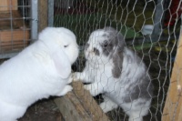 Good neighbours