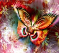 Butterfly, Oh Butterfly