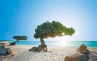 inviting beach
