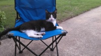 Buster Lounging