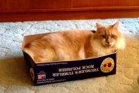 Max-in-a-box