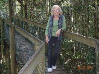 tree top walk at O`Rileys