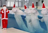 Underwater Christmas