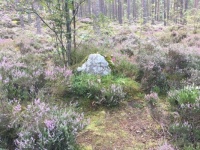 The lonely gravestone of a Culloden Clansman.