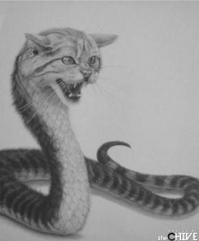 Cat/Snake Drawing