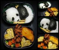 Panda lunch