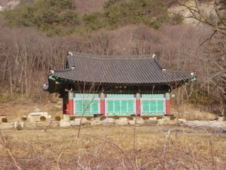 Pagoda in Korea from son-in-law