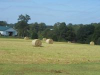 Fall field