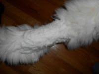 I'm not fat, I'm fluffy!