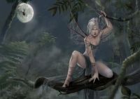 fairy