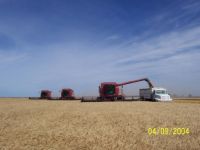 Harvest 12 years ago.