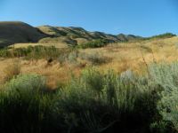 Red Butte Garden, Salt Lake City