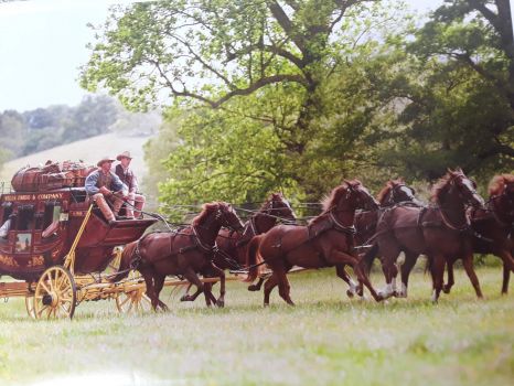 Solve Wells Fargo stagecoach with six horses which has become a ...