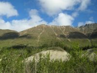 On the Annie Lake Rd, YT