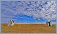 The Prairie
