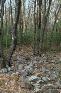 Rocks left behind by glaciers