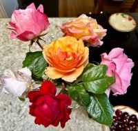 Roses from my garden