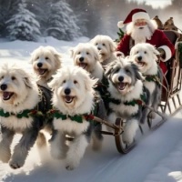 Santa's Sleigh