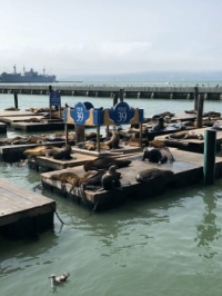Fishermen's Wharf, San Francisco