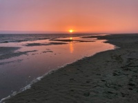 Oksbøl