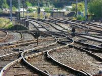 tracks