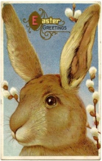 Vintage bunny