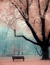 peaceful 