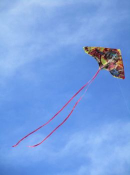 Let's go fly a kite !